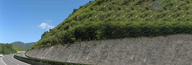 隧道在线监测以阵列式位移计、静力水准仪,激光传感器、应变计为核心，配套RTU实现对